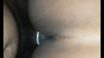 Watch A Couple Have Passionate Sex In The Backyard